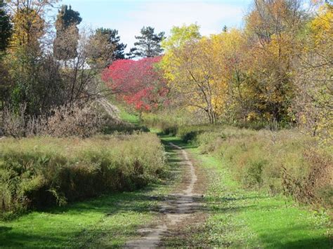 G Ross Park Toronto