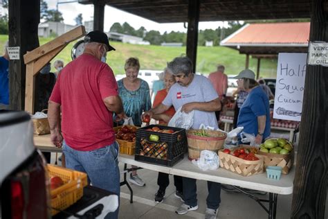 Gainesville Farmers Market Guide: Fresh Picks