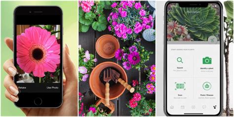 Garden Design App The Best Gardening Apps For 2020 Digital Trends