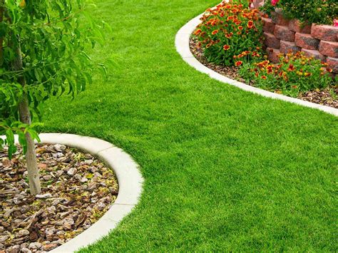 Garden Edging Guide: Perfect Yard Solutions