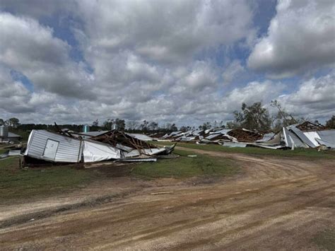 Georgia Agricultural And Forestry Damage From Hurricane Helene