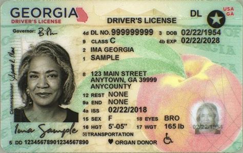 Georgia Drivers License Number Lookup