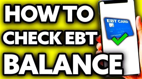 Georgia Ebt Balance Neh Institute Hub