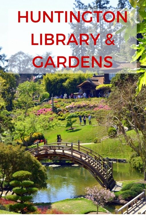 Georgia Gardens Tour: Discover Hidden Gems