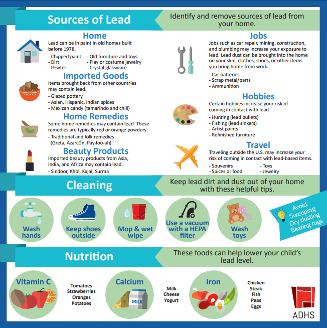 Georgia Healthy Homes And Lead Poisoning Prevention Program Director