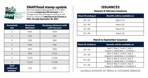 Georgia Snap Application: Fast Approval Process