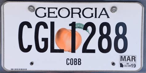 Georgia Tag Registration