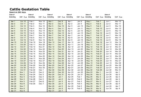 Gestation Period For Bovine