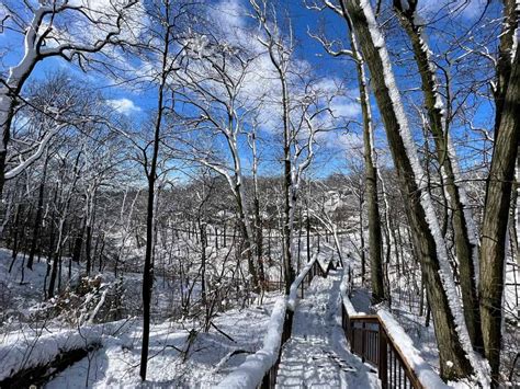 Glen Stewart Ravine