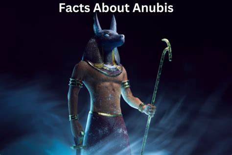 God Anubis Facts Ancient Egyptian Gods And Goddesses