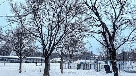 Greenwood Park Toronto: Explore Local Trails