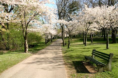 Gross Park Toronto Guide: Explore Amenities