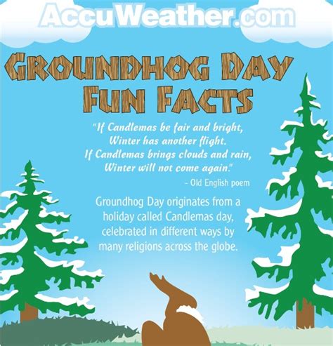 Groundhog Day Fun Facts Infographic Infographics Zone Submit