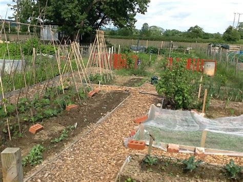 Grow Your Own Competition Notable Entries Allotment Gardens