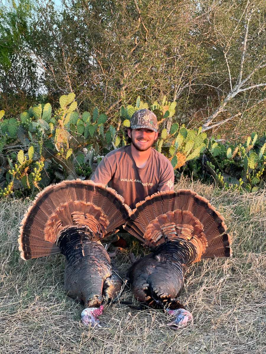 Guided Texas Rio Grande Turkey Hunts All Seasons Guide Service