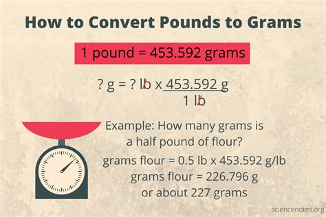 Half Pound In Grams