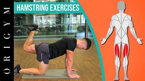 Hamstring Pull Workout: Injuryfree Strength