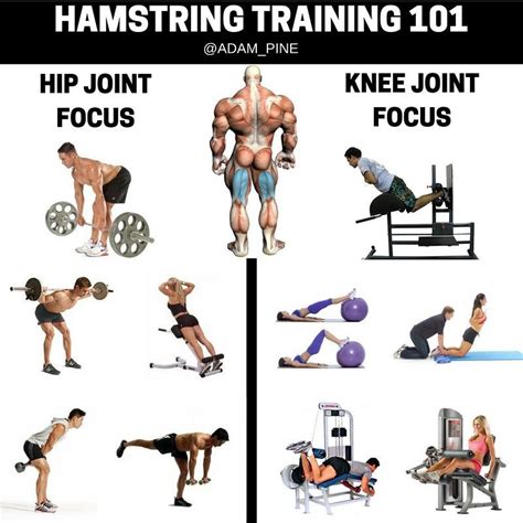 Hamstrings Workout Improve Hamstring Strength And Hamstring Workout