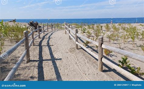 Hanlans Point Nude Beach View On Toronto Islands Stock Photo Image Of