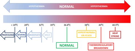 Heat Related Illness Sport Med School