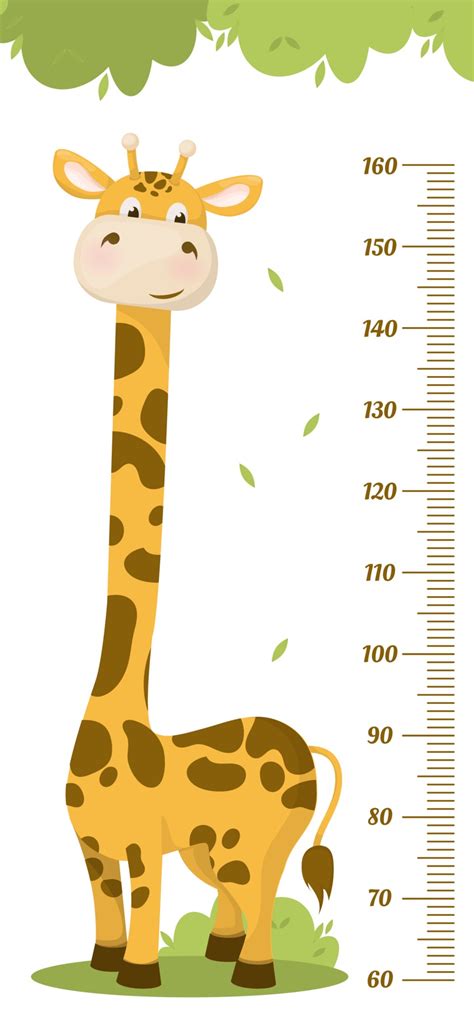 Height Measurements Chart Kids