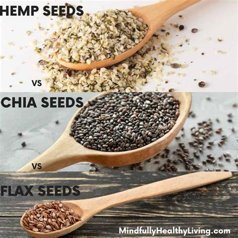 Hemp Seeds Vs Chia Seeds Vs Flax Seeds What Amp 39 S Healthier Chia Vs