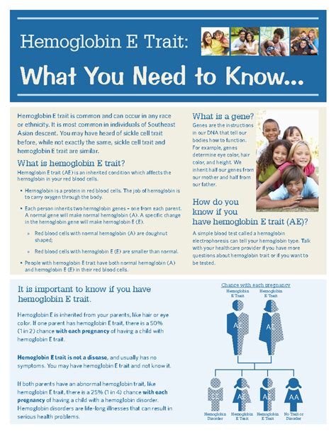 Hgb E Trait: Understand Your Diagnosis