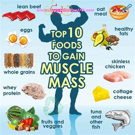 High Protein Guide: Boost Muscle Mass Fast