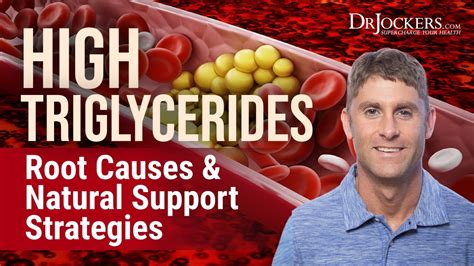 High Triglycerides Root Causes And Natural Support Strategies