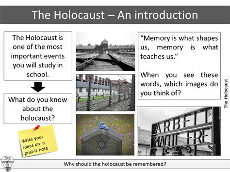 Holocaust Overview: Key Facts Revealed