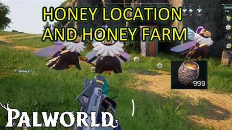 Honey Pal World: Sweet Solutions Found