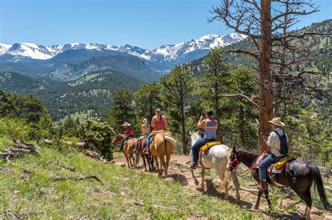 Horseback Riding Guide: Find Trails Today