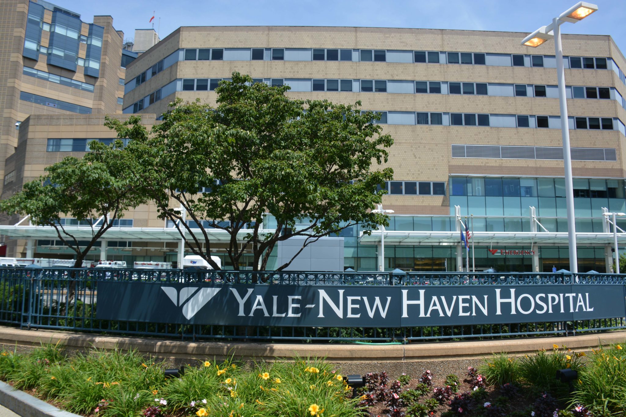 Hot Job Of The Month Yale New Haven Providermatching Com