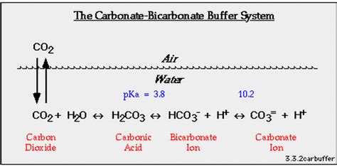 How Buffers Help You Periodical 2015