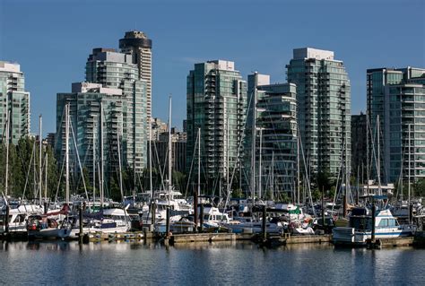 How Busy Is Coal Harbour Park? Plan Your Visit