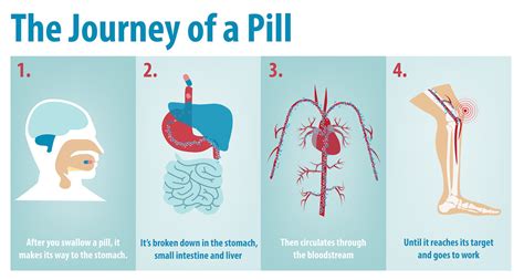 How Do Continuous Pills Work? Expert Advice Inside