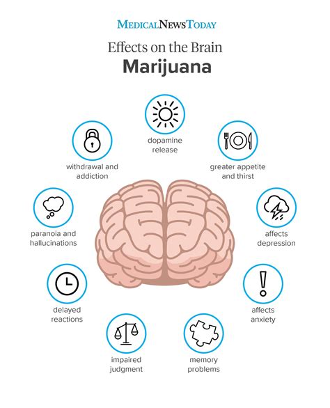 How Do Drinks With Thc Work? Effects Explained