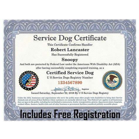 How Do I Get My Dog Certified As A Service Dog In Canada At Valerie