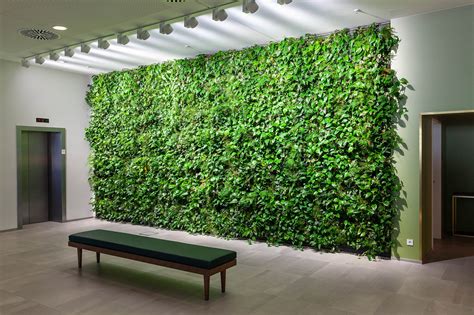 How Do Living Green Walls Improve Air Quality Arc 46