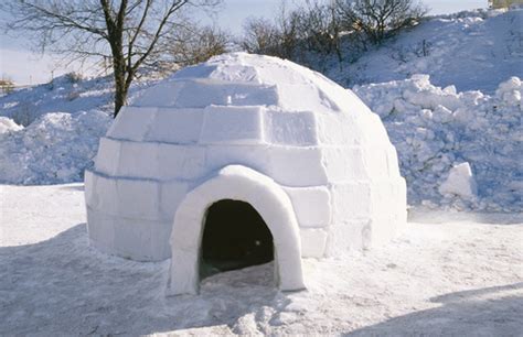 How Do Native Americans Build Igloos In The Arctic? Easy Steps