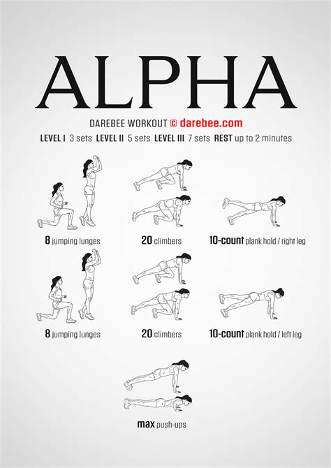 How Does [Alpha] Gym Work? Your Fitness Guide