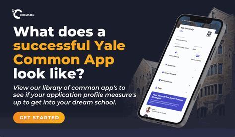 How Does Cage And Feather Yale Work? Simplified Guide