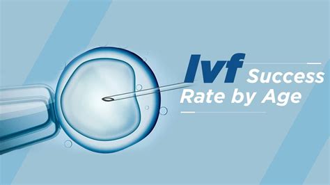 How Does Ivf Work For A Woman Ivf Success Rate By Age Dr Preeti