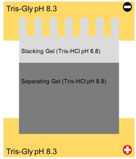 How Does Sds Marc Willis Work? Simplified Guide