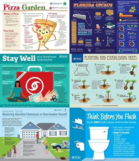 How Does Uf Ifas Help? Effective Outreach Solutions