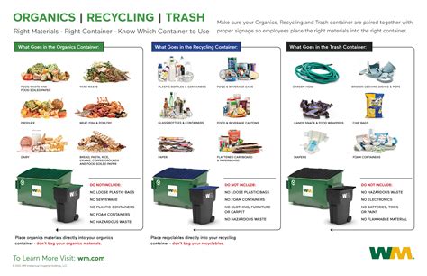 How Does Waste Collection Work Toronto? Easy Guide