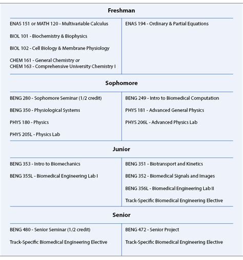 How Does Yale Biomedical Engineering Work? Degree Info