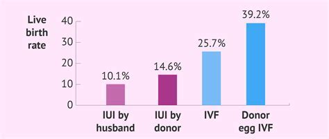 How Does Yale Fertility Work? Success Stories