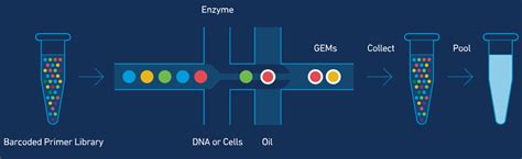 How Does Yale Keck Sequencing Work? Simplified