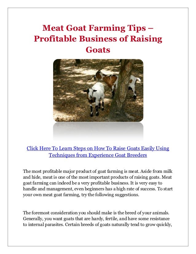 How Goats Segment Works? Profitable Farming Tips